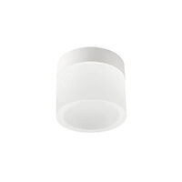 NAIDA PL LED 6W 3000/4000K SWH (5.6)