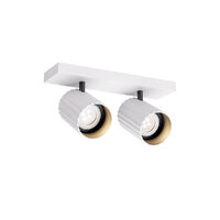 DELPHI PR 2X7W GU10 H100 SWH(5.6)