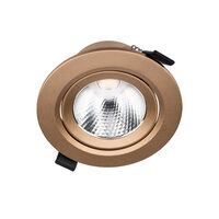 PT 08 LED 10W 4000K GD(5.5)