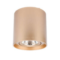 PC 01  LED 10W 3000K RD  GD(5.6)