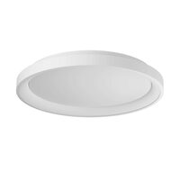 ICONIC PL LED 40W 3000/4000 WH (5.1.2)