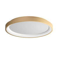 ICONIC PL LED 40W 3000/4000 GD (5.1.2)