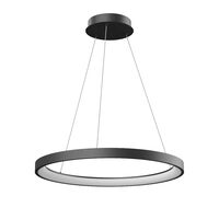 ICONIC SU LED 50W 3000/4000 BK (4.1.2)