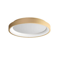 ICONIC PL LED 30W 3000/4000 GD (5.1.2)
