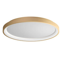ICONIC PL LED 50W 3000/4000 GD (4.1.2)