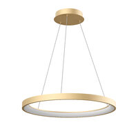 ICONIC SU LED 50W 3000/4000 GD (4.1.2)