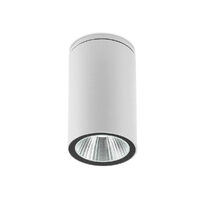 RAM PL LED COB 4W IP65 SWH 3000K (Ro)(5.6)