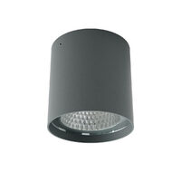 XIA PL LED 19W IP65 2700K DG (5.1.2)  Ro