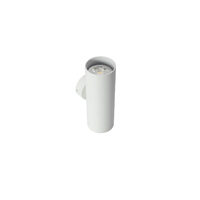 AXIS AP 2X35W GU10 SWH-D60*H167 (5.6)