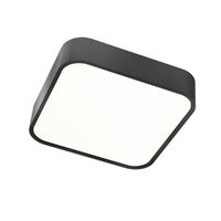SCREEN IP PL LED 30W 3000K IP44 BK/GLASS(5.1.2)